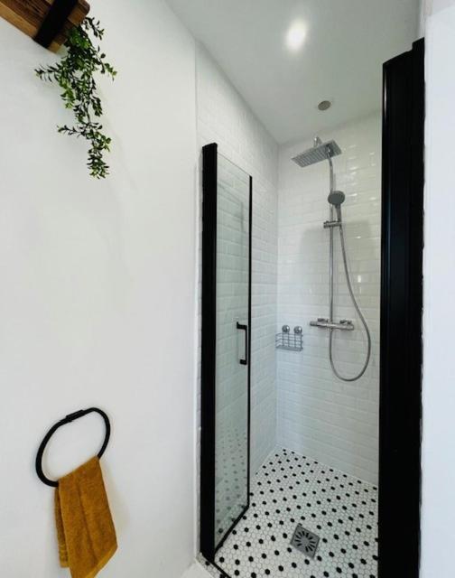 Charmant Et Lumineux Appartement Montpellier Exteriör bild